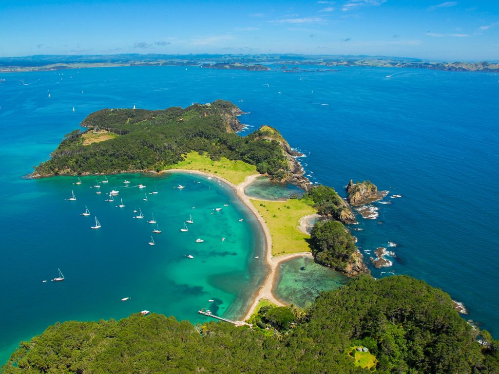 Paihia to Auckland via East Coast Small Group Tour (One Way)