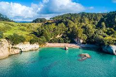 Cathedral Cove & Coromandel Coastal Adventure Tour from Auckland