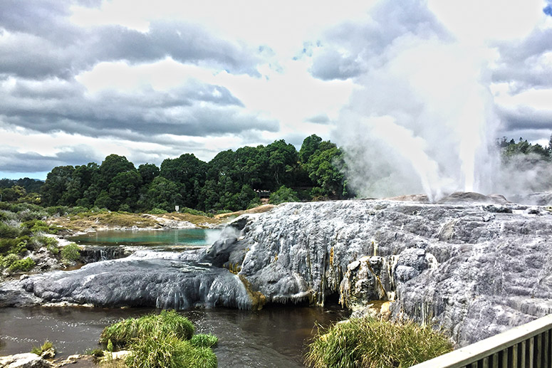 waitomo caves & rotorua small group tour