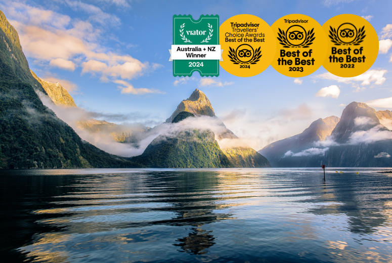 Premium Milford Sound Small Group Tour, Cruise & Picnic Lunch from Queenstown  