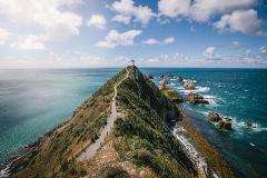 Invercargill to Dunedin via the Catlins (one-way tour)