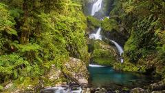 zzzz Milford Track Package, Return by Car (car relocation - 3 day) from Queenstown or Te Anau 