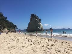 Coromandel Wanderer Tour from Auckland (Small Groups) CA 