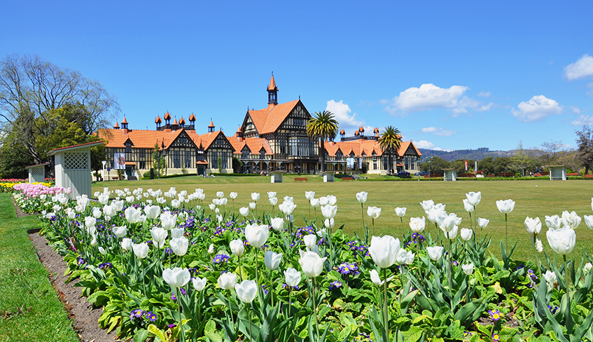 Rotorua to Auckland One Way Transfer