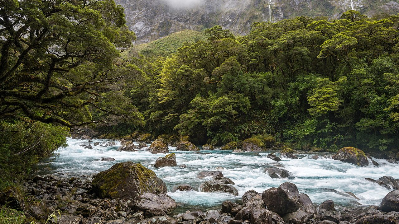 https://img.rezdy.com/PRODUCT_IMAGE/90077/hollyford_river.jpg