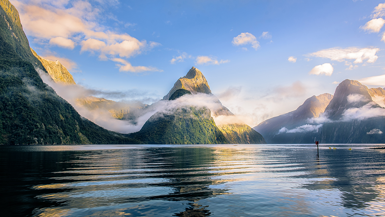 Premium Milford Sound Small Group Tour, Cruise & Picnic Lunch from Te Anau 