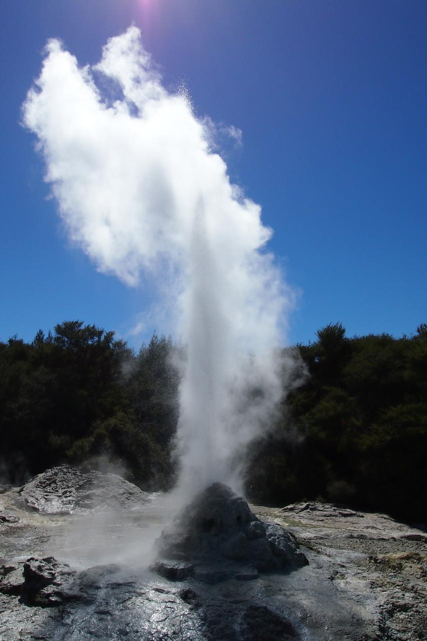 Auckland to Rotorua Small Group Tour via Hobbiton Movie Set (One Way)