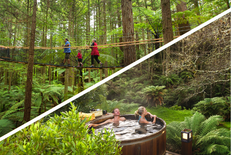 Rotorua Highlights including Redwoods Treewalk & Secret Spot Hot Tubs Small Group Tour from Auckland