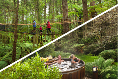 Rotorua Highlights Tour including Redwoods & Secret Spot Hot Tubs 