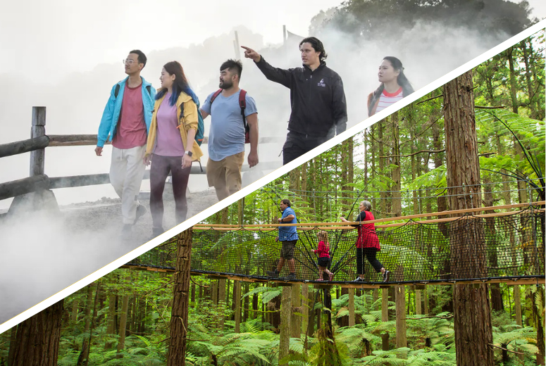 Rotorua Highlights including Te Puia & Redwoods Treewalk Small Group Tour from Auckland