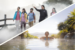 Rotorua Highlights including Te Puia & Polynesian Spa Small Group Tour from Auckland