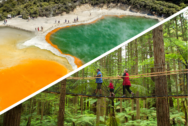 Rotorua Highlights Tour including Wai-O-Tapu & Redwoods Treewalk