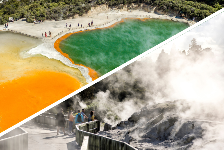 Rotorua Highlights including Wai-O-Tapu & Te Puia Small Group Tour from Auckland