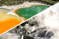 Rotorua Highlights including Wai-O-Tapu & Te Puia Small Group Tour from Auckland