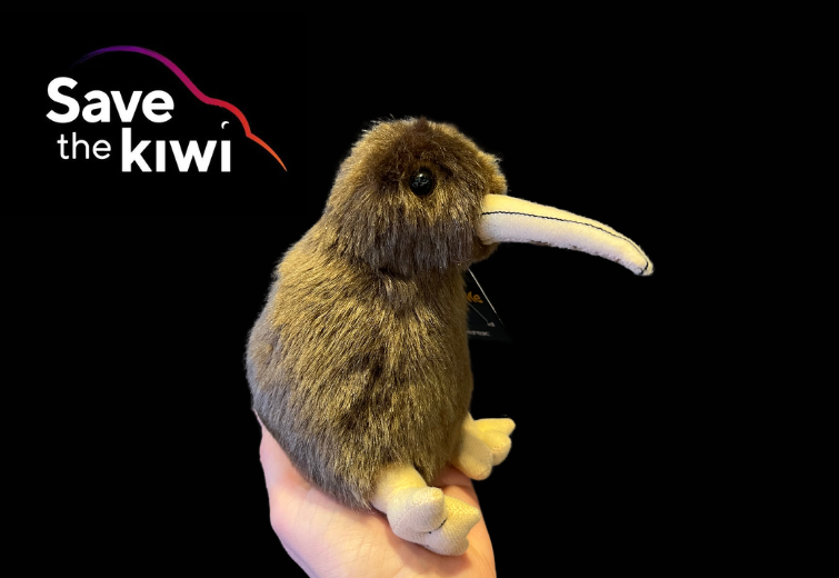 Plush Kiwi for Save The Kiwi Charity