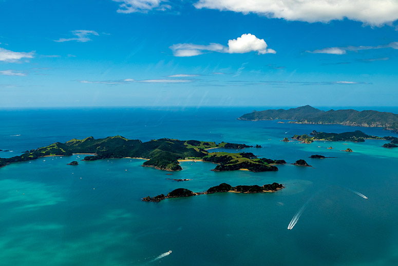 Bay of Islands Small Group Tour & Cruise from Auckland 