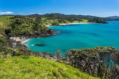 Bay of Islands Small Group Tour & Cruise from Auckland - 2 Day 