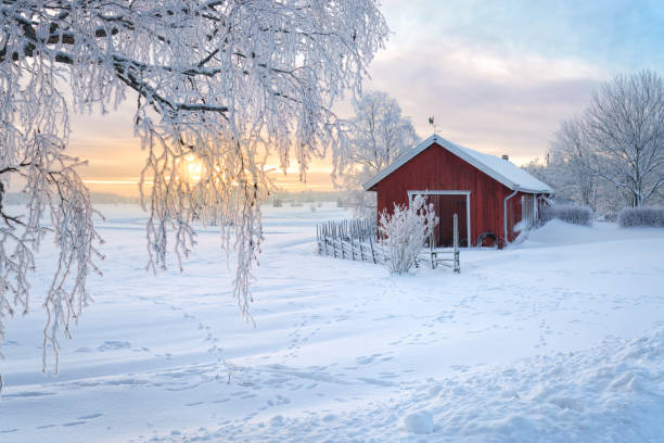 https://img.rezdy.com/PRODUCT_IMAGE/90077/snowy.jpg