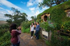 Hobbiton & Waitomo Glowworm Caves Small Group Tour from Auckland (Return Trip) CA 