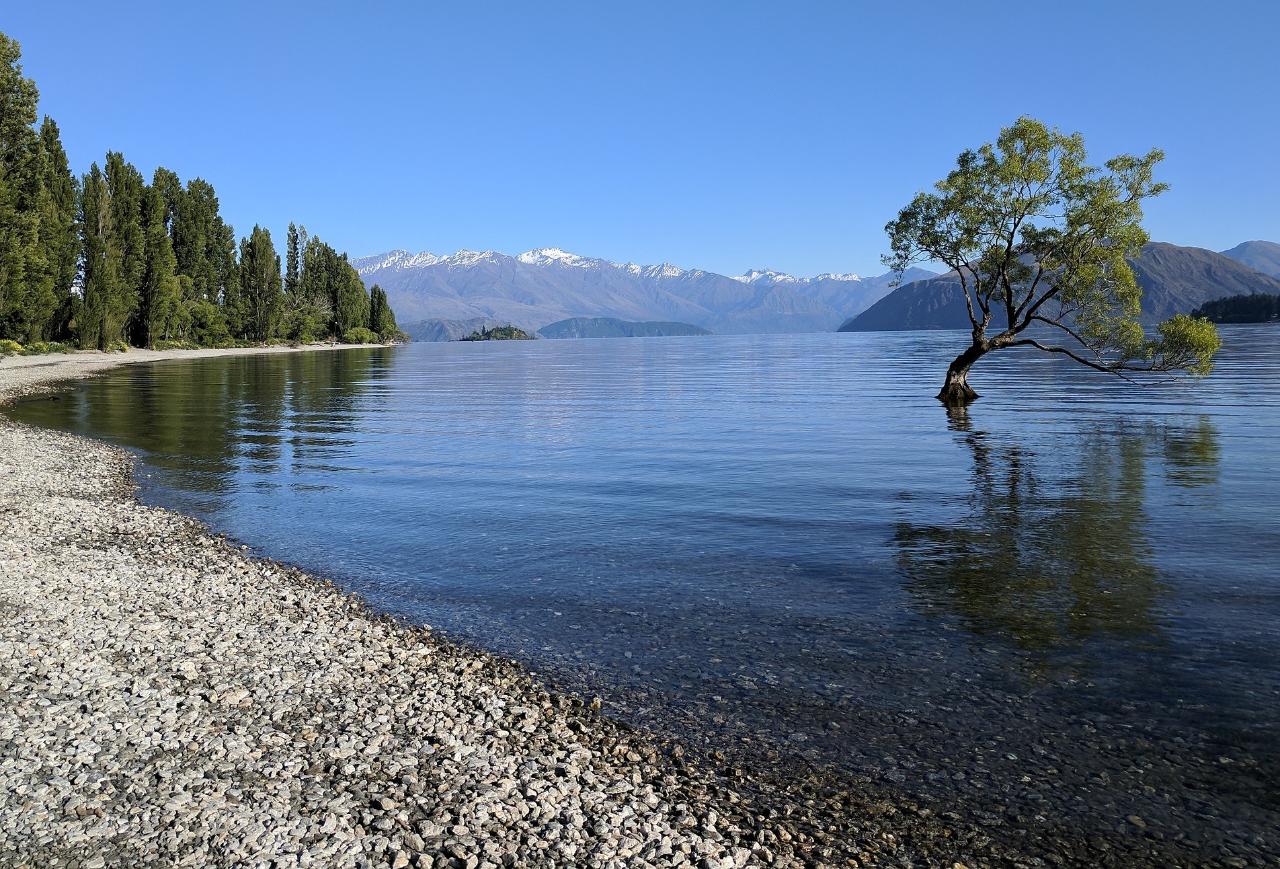 Experience Wanaka Small Group Tour from Queenstown