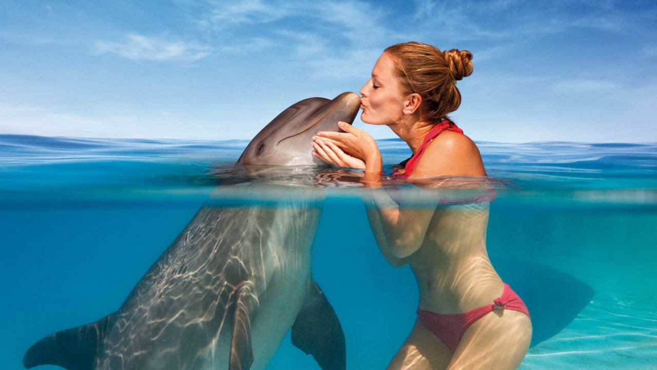 Девушка и Дельфин