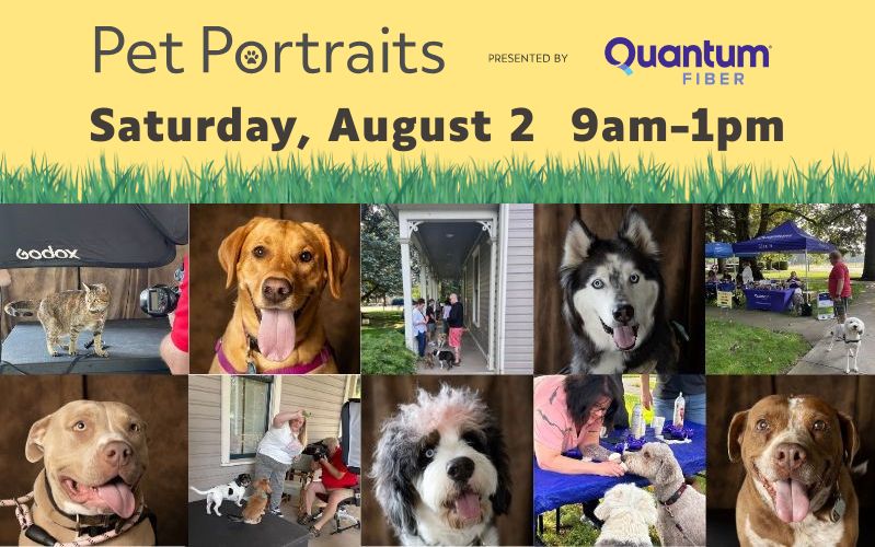 Pet Portraits