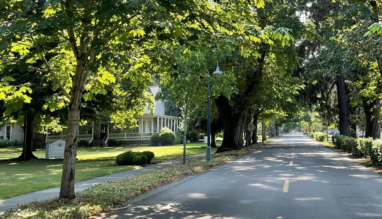 Officers Row Trees Walking Tour