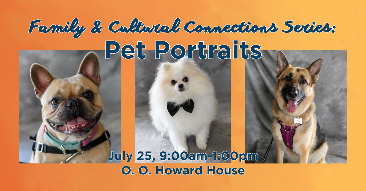 Pet Portraits