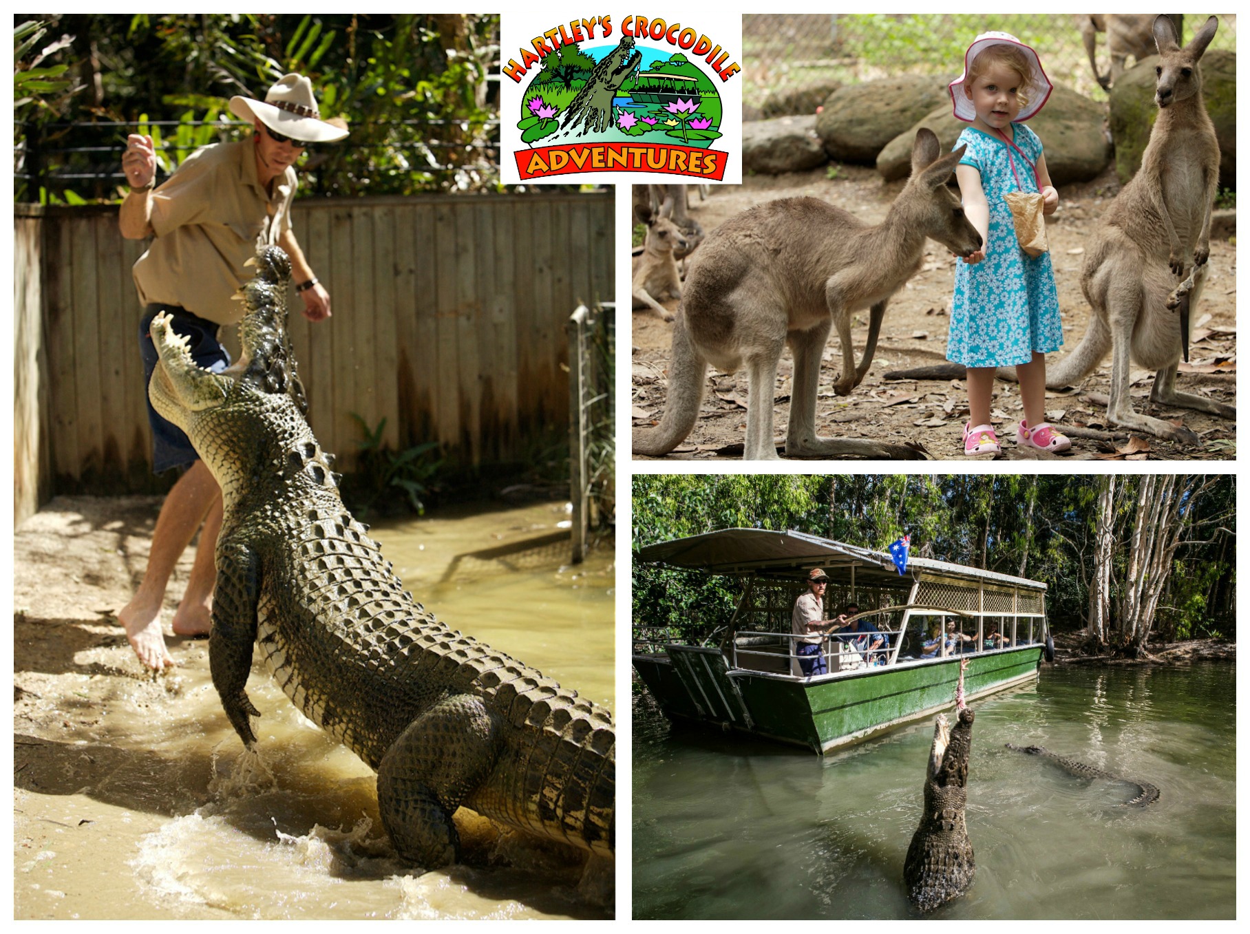 Hartley's Crocodile Adventures / Half Day Tour