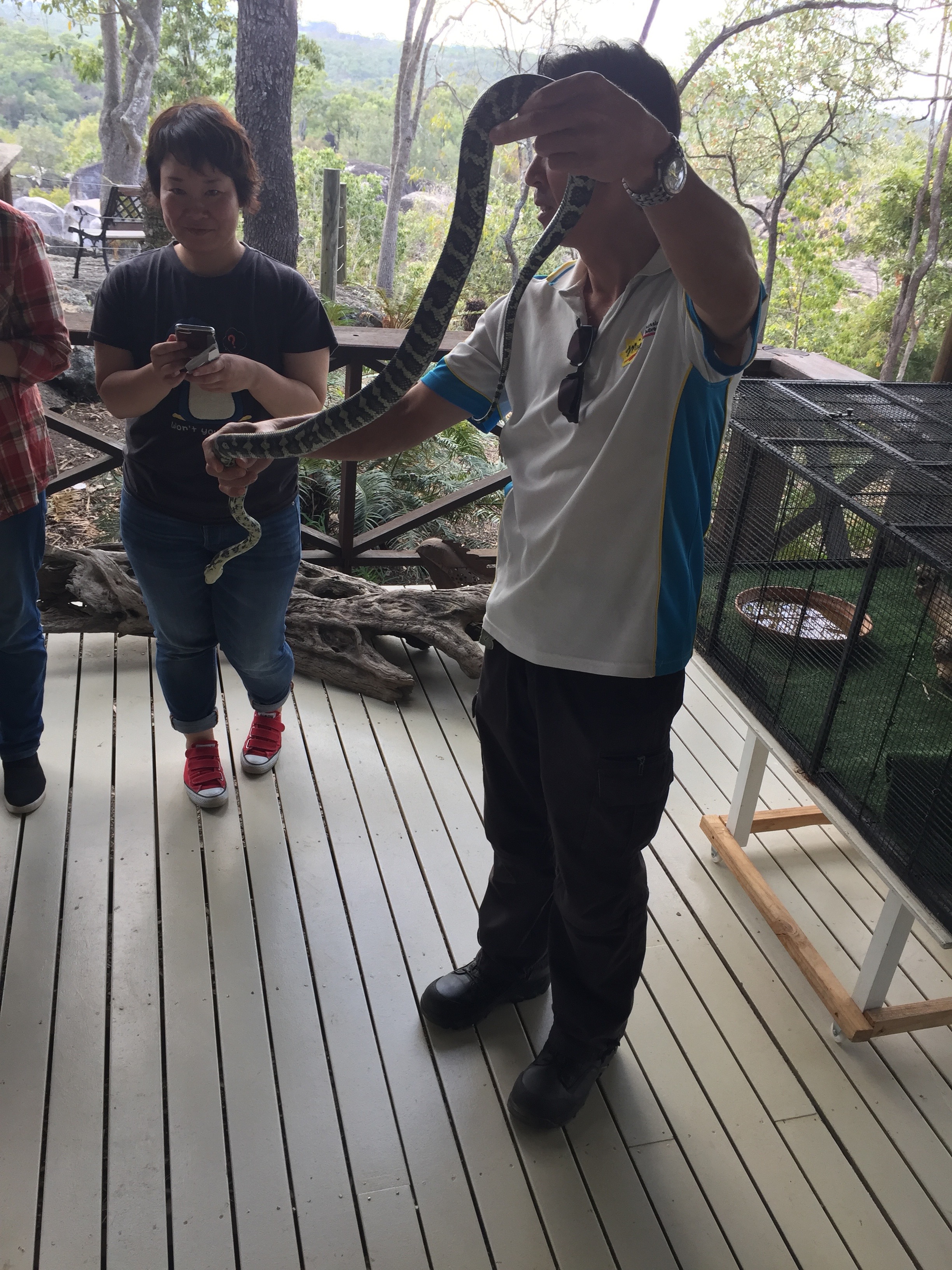 大自然動物探検ツアー（高原から見る感動の星空＋オージーBBQ）