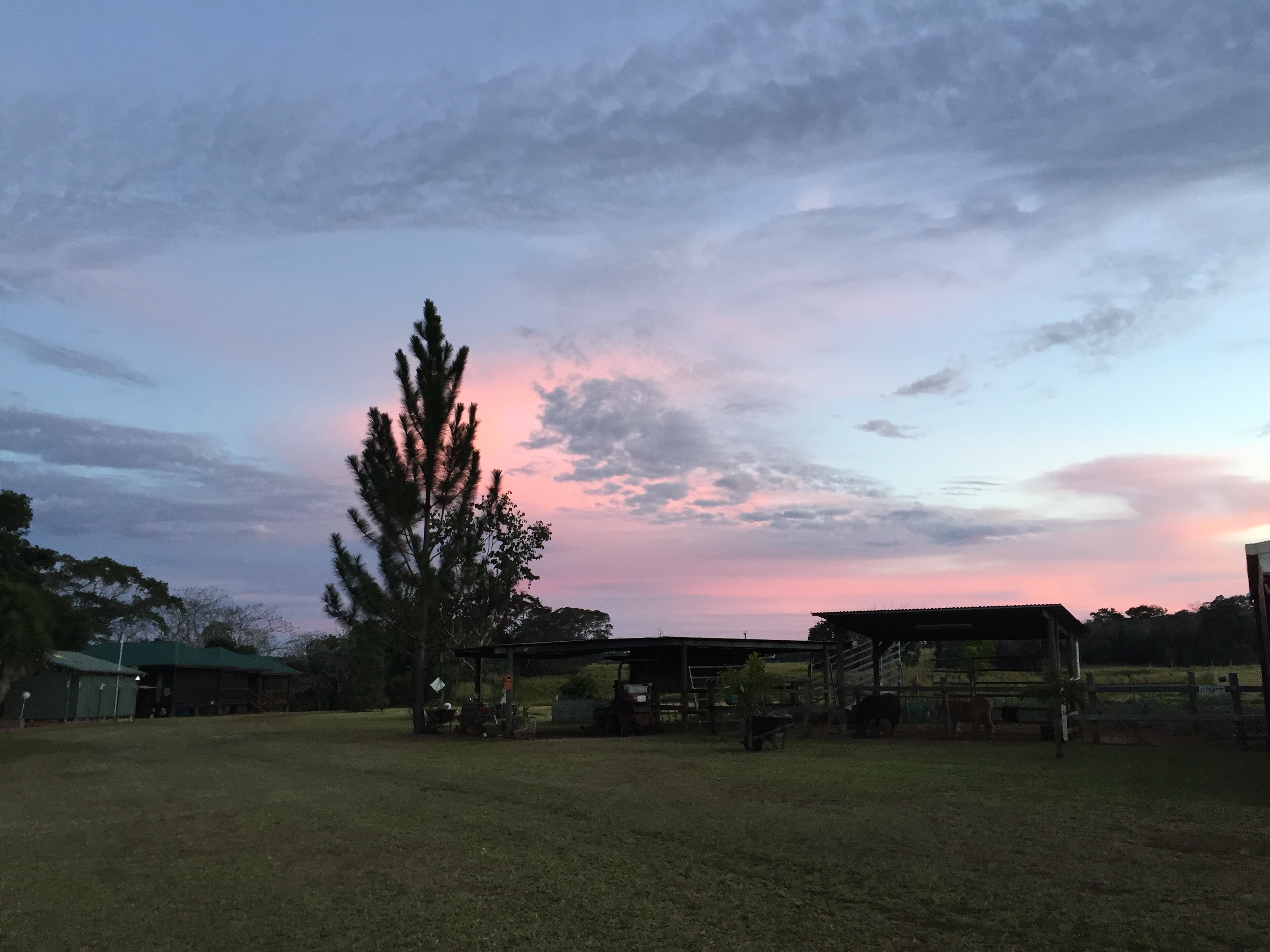 大自然動物探検ツアー（高原から見る感動の星空＋オージーBBQ）