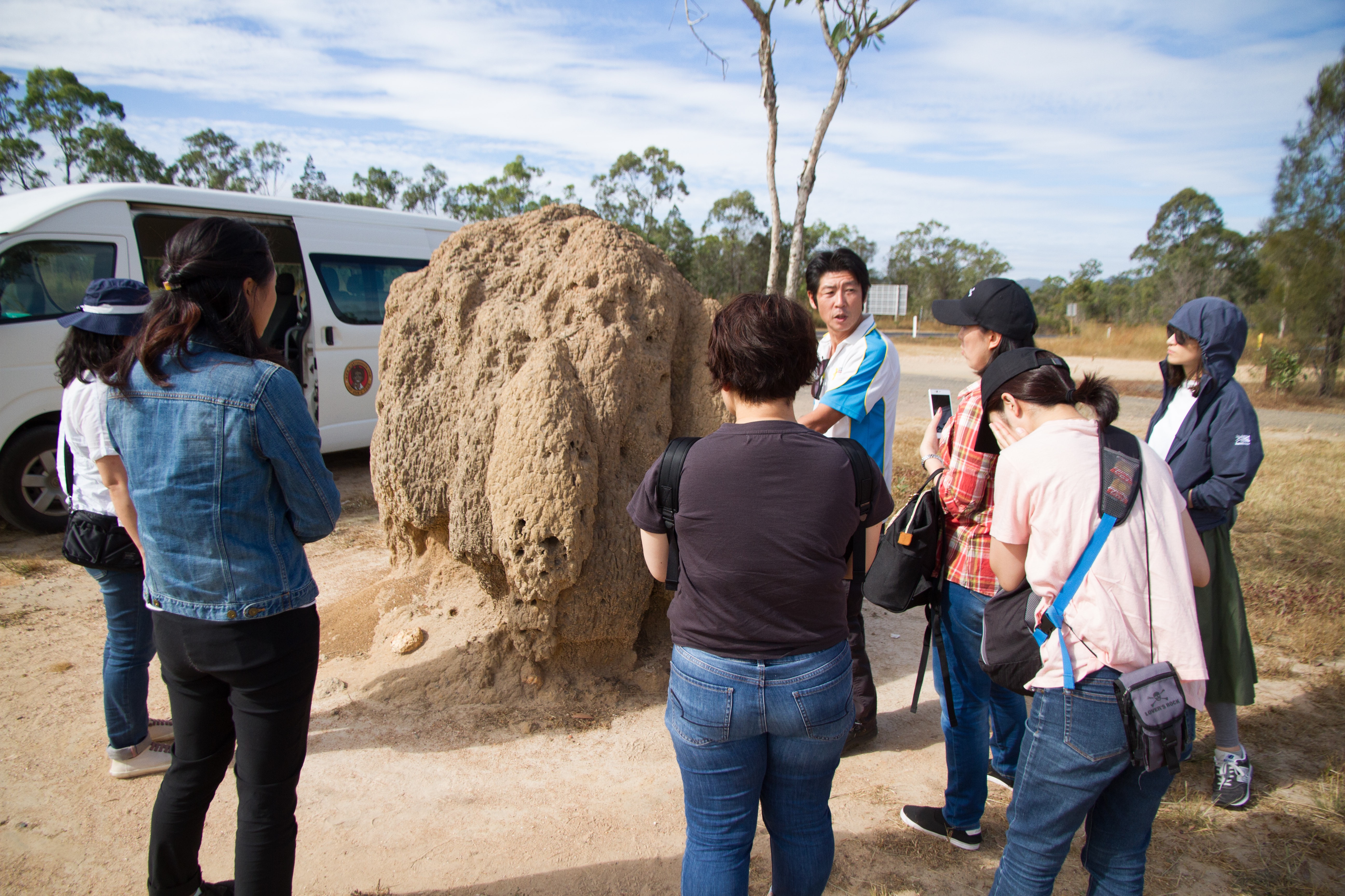 大自然動物探検ツアー（高原から見る感動の星空＋オージーBBQ）