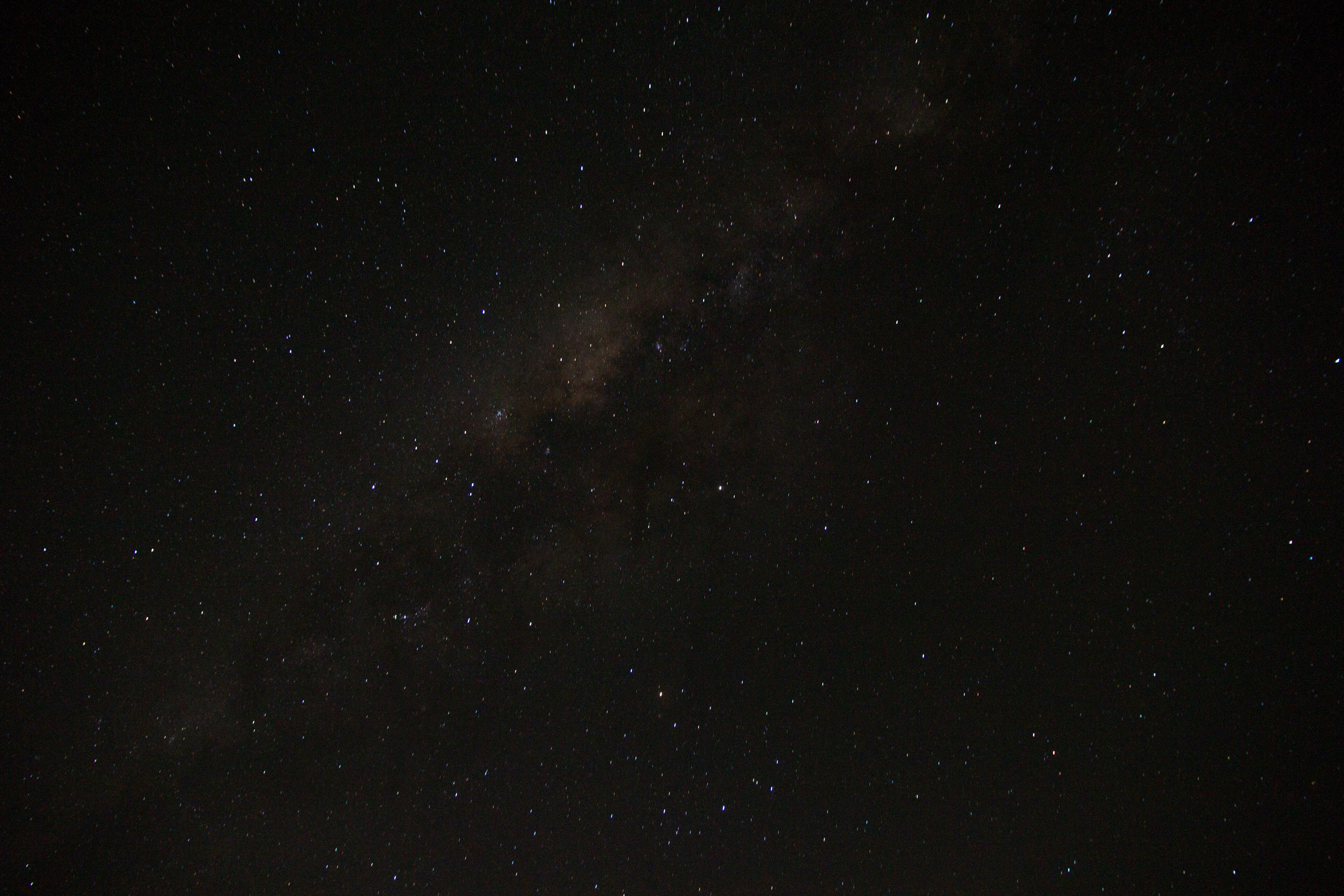 大自然動物探検ツアー（高原から見る感動の星空＋オージーBBQ）