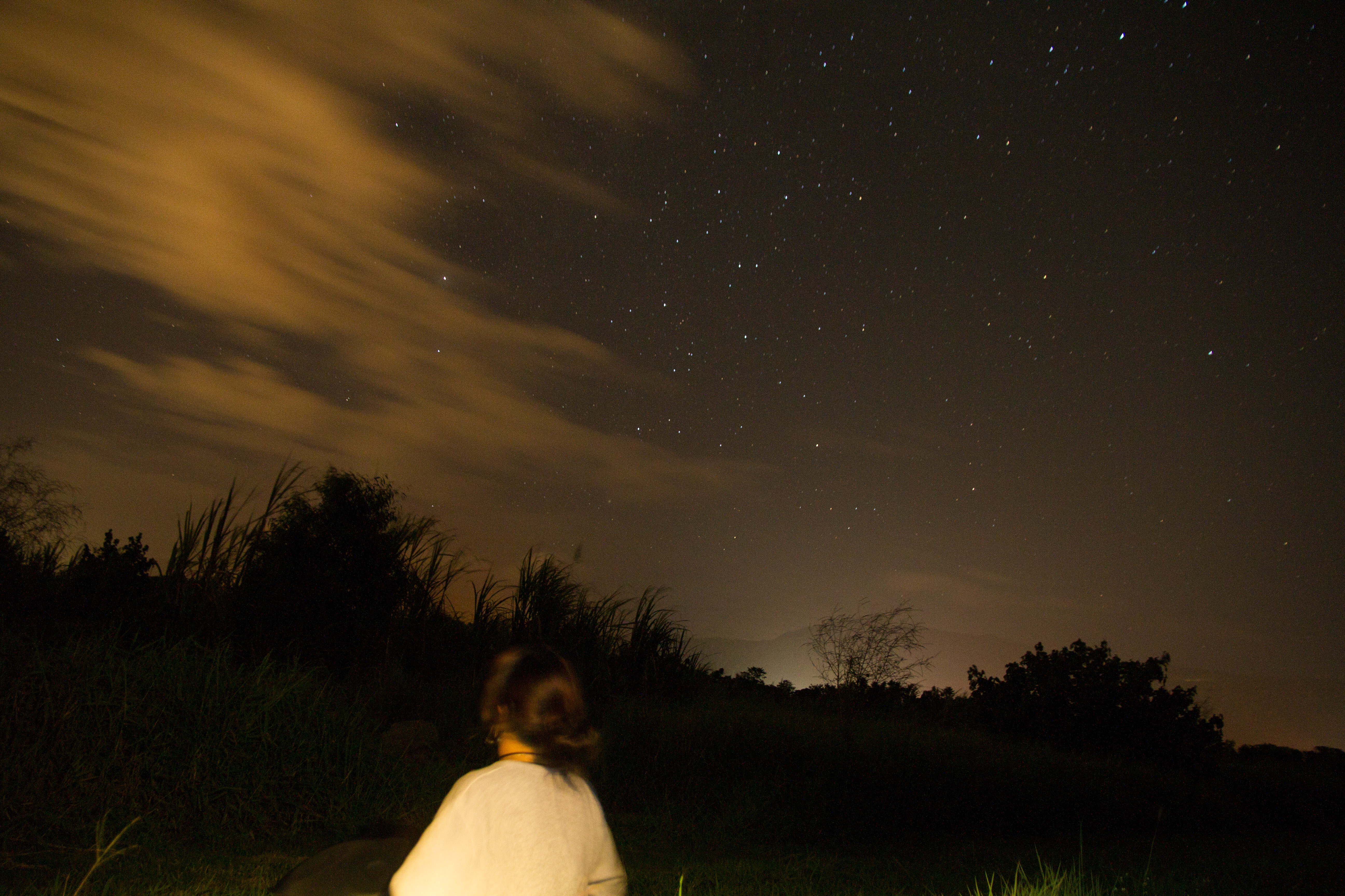 大自然動物探検ツアー（高原から見る感動の星空＋オージーBBQ）