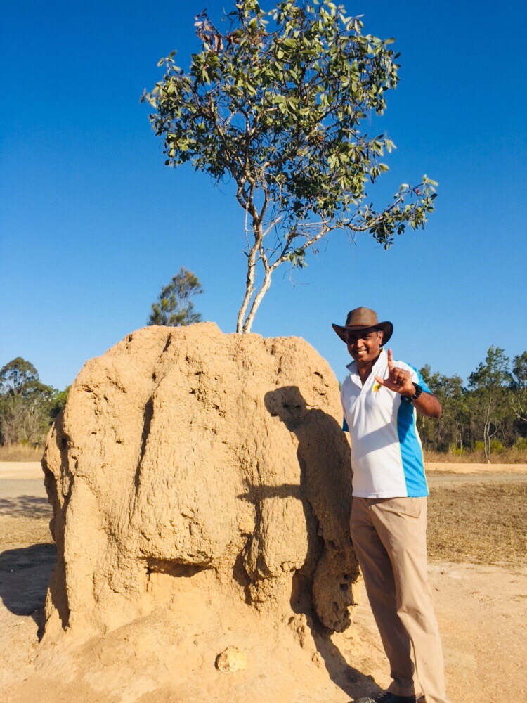 大自然動物探検ツアー（高原から見る感動の星空＋オージーBBQ）