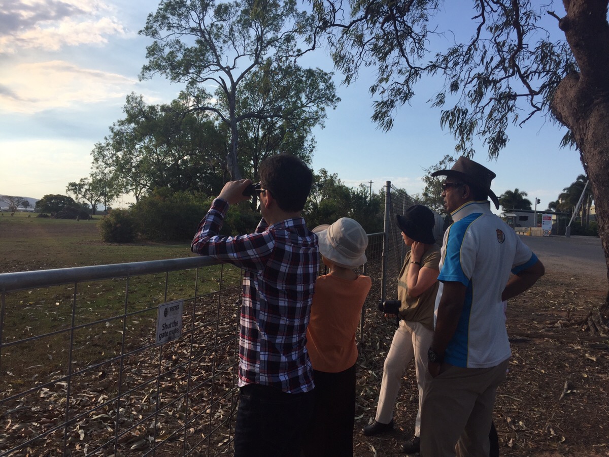 大自然動物探検ツアー（高原から見る感動の星空＋オージーBBQ）