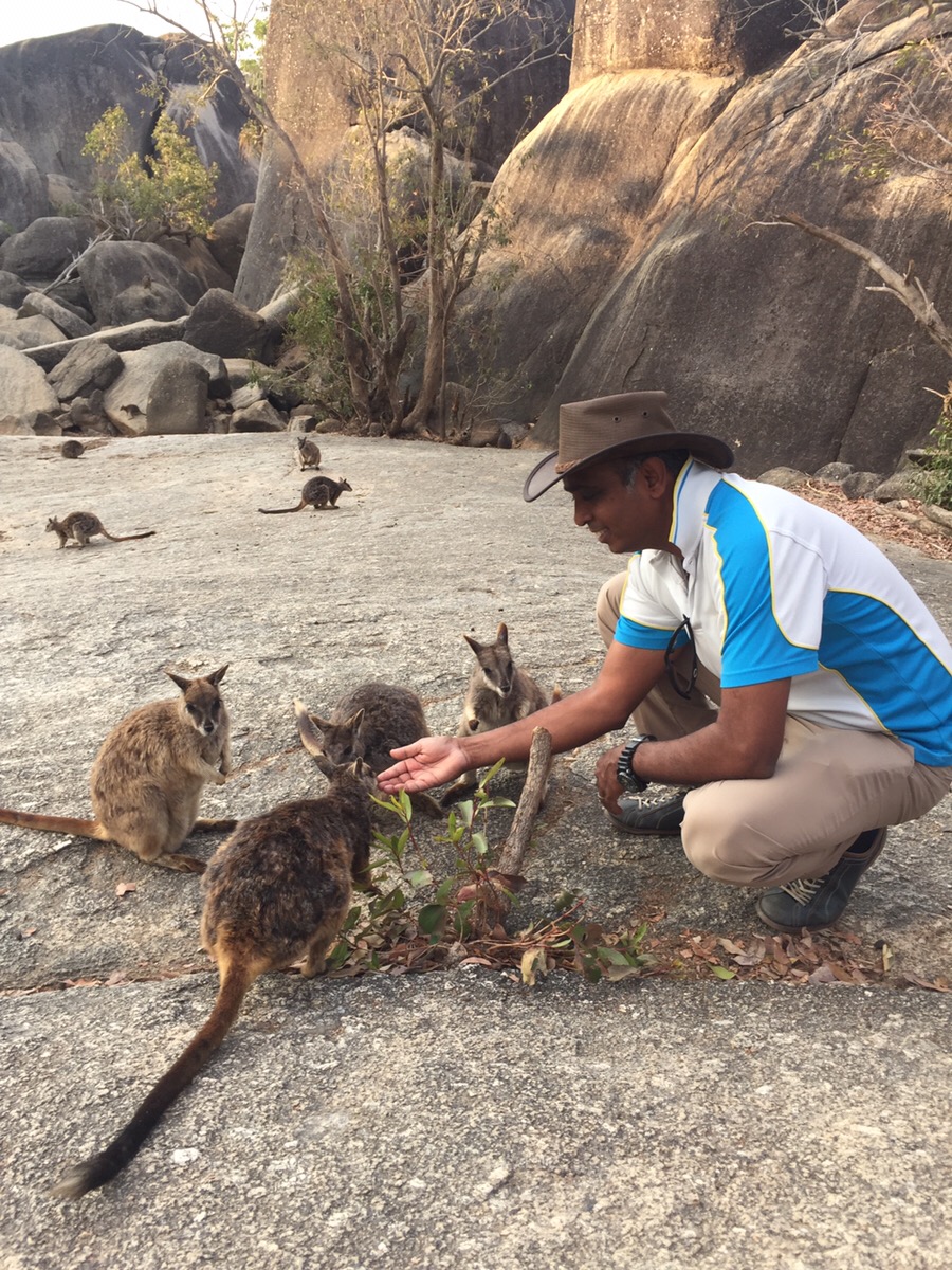 大自然動物探検ツアー（高原から見る感動の星空＋オージーBBQ）