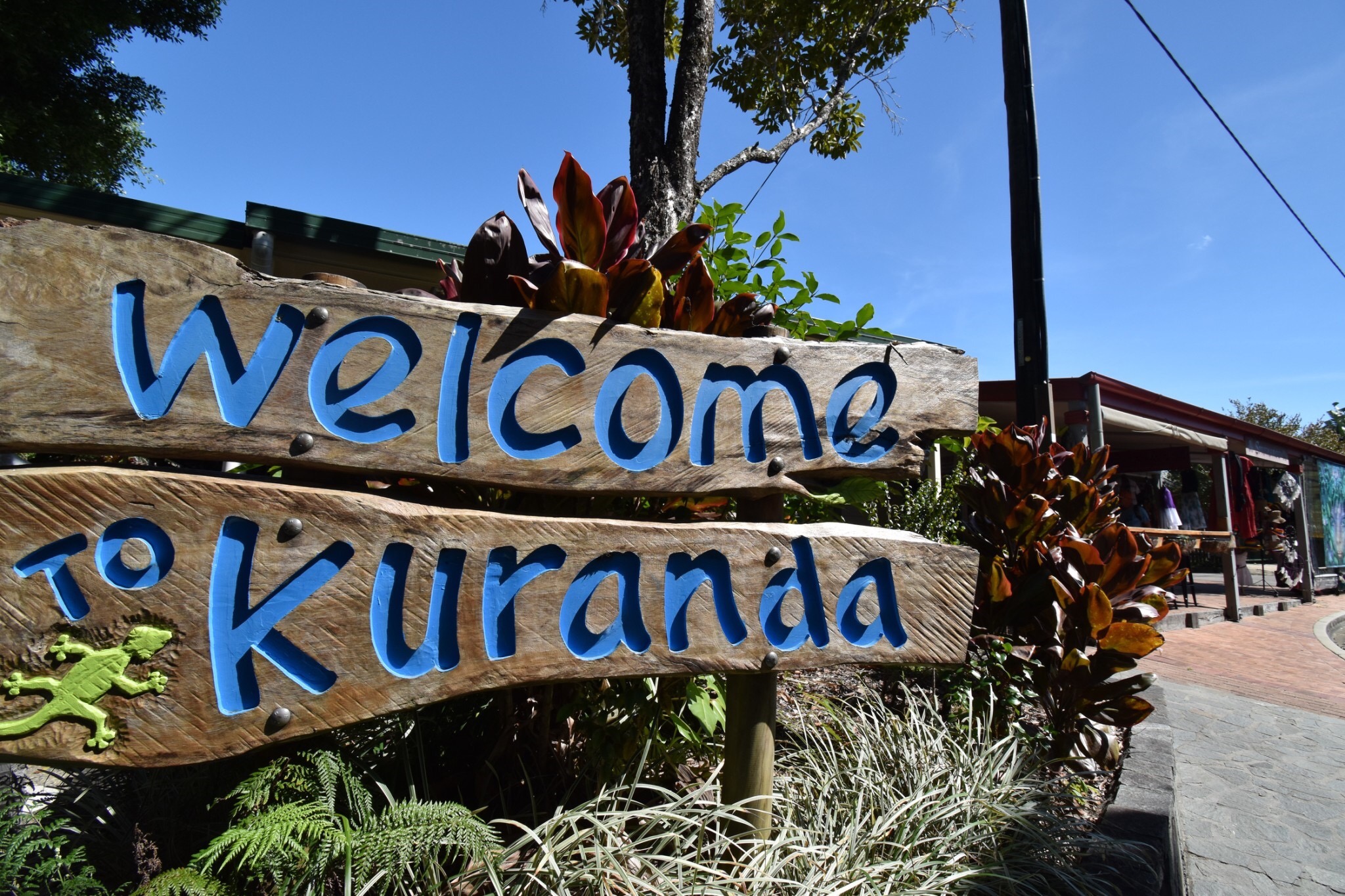 キュランダ観光デラックス（スカイレール・アーミーダック・ワイルドライフパーク・キュランダ列車）