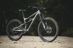 (Large) MTB Hire (Specialised Status) Per Day