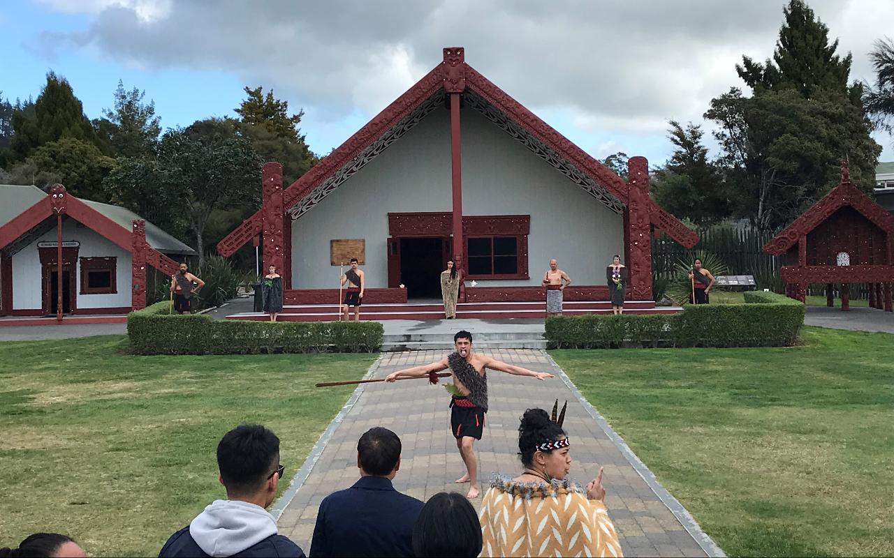 6hr Rotorua Geothermal Wonderland Tour - Departs Tauranga