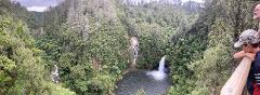 Scenic Walking Tour – Pāpāmoa Hills & Ōmanawa Falls