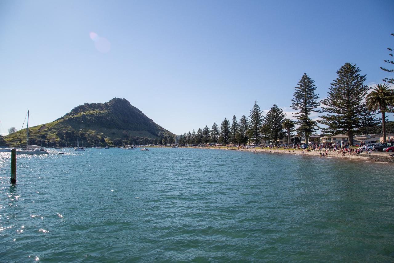 4hr Tauranga Scenic History and Tasting Tour FREE Kiwifruit Tasting