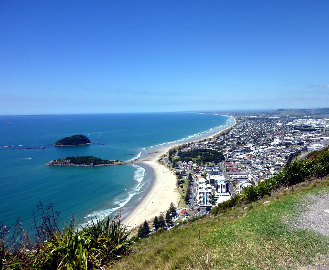 4hr Scenic Tauranga Shore Excursion FREE Kiwifruit Tasting