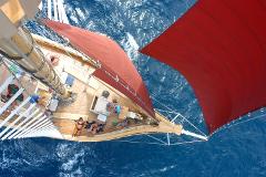 Tallship Adventures- Alexander Stewart share single in twin cabin- 2 day/1 Night Sailing Tour