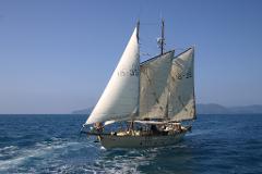 Tallship Adventures -  Derwent Hunter  Eco Day Sailing & Snorkelling