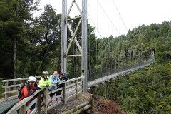 Timber trail all inclusive ex Taupo 2 day 2 night (1 night Taupo)