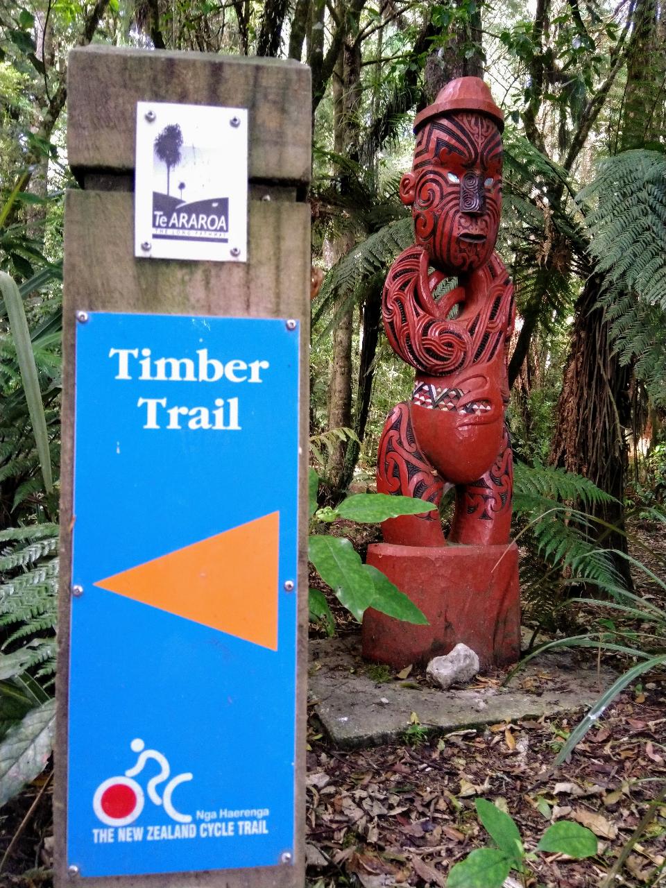 2 day Timber trail Lodge ex Taupo return Package