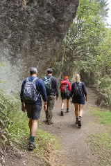 HIKE - Great Lake Trail Waihora Section Road and Boat transfer package. 