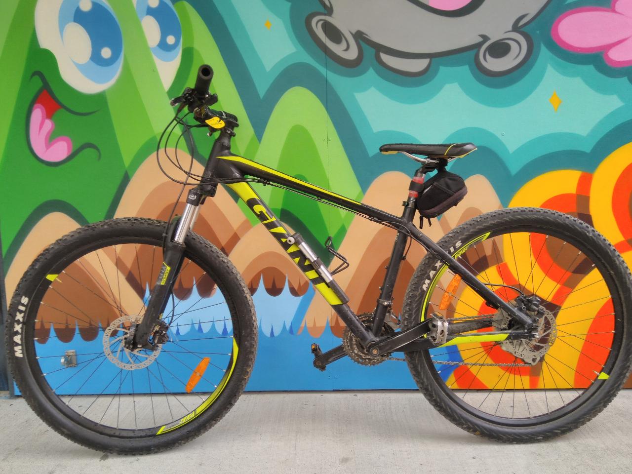 Hardtail Mountainbike
