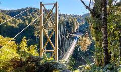 GUIDED 2 day Timber trail Lodge ex Taupo Package with full suspension E-Bike hire